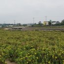 씨유 서부관광점 | 제주 남부 - 중문 하얏트 리젠시 제주 후기 셋째 날