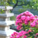 선기로1-6 이미지