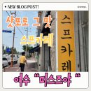 무선~여천L | [여수]삿포로 현지 그대로 느낄수 있는 스프카레 여천 맛집 미스즈야