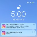 쓰담쓰담해줄개 이미지