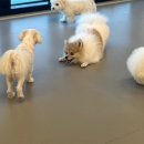 멈무유치원 이미지