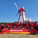 2025 섬 튤립축제 이미지