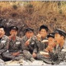 소풍김밥플러스