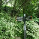 불광근린공원 화장실 이미지