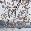 우두동 자전거도로 이미지