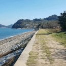 11500-17-45-16 이미지