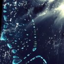 대양여행사 이미지