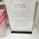 모나루 | 동성로 소품샵😍 예쁜 소품들이 가득한 모나루나 방문 및 구매 후기🩷