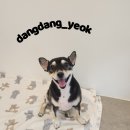 송내동3 이미지