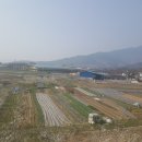 시골두부 이미지