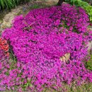 송담가든 이미지