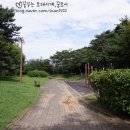 몽마르뜨 이미지