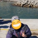 금진2리 이미지