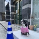 솔레인스킨케어