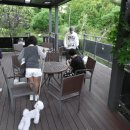 스카이개슬 이미지