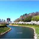 삼학도 Daum카페