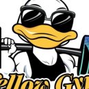 옐로우짐 성당점 이미지