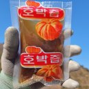 산드리약초