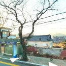 웅천로 네이버블로그