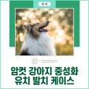 아이편한 동물의료센터 이미지