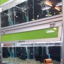 작은동물원수족관 이미지