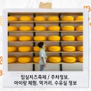 유림농장 | 임실치즈축제 / 주차정보, 아이랑 체험, 먹거리, 수유실 정보