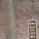 영민푸드트럭 이미지