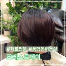 한준인테리어 | 광주 포레스트데이 풍암동 미용실 커트추천 한준 원장님 후기