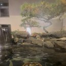 동동스테이 이미지