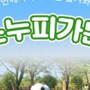 비자림가든 이미지