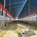 고창축산 이미지