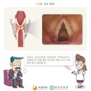 쉼 Daum백과