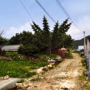 양평포레스트 스테이 이미지