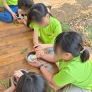 백련초등학교 이미지