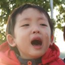 보문오토바이