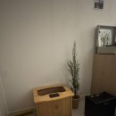 온바디짐 | 쏠티 족욕기 온바디 내돈내산 후기 쿠팡 하체 부종 관리템