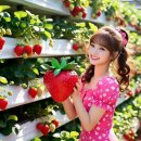 여러가지 다양한 이미지 이미지