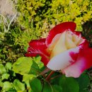 세일주유소 화장실 이미지