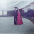 황금빛농장 이미지