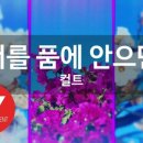 품 Entertainment