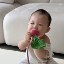 손톱빨 | 퍼기 아기 실리콘 멀티 치발기 쪽쪽이 스트랩 클립 홀더 52cm 롱타입 후기