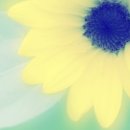 후스킨케어 이미지