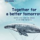 (주)태준제약 이미지
