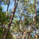 태화목장 이미지