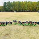 세움어린이집 놀이터 이미지