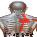 비스타짐 이미지