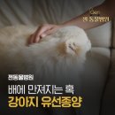 젠동물병원