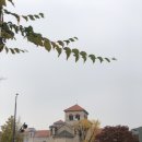 맘스터치서울 이미지