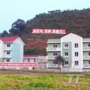 세포농장 이미지