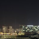 농수산반점